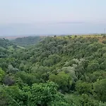 D'avalos 4*