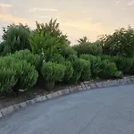 D'avalos فينوسا